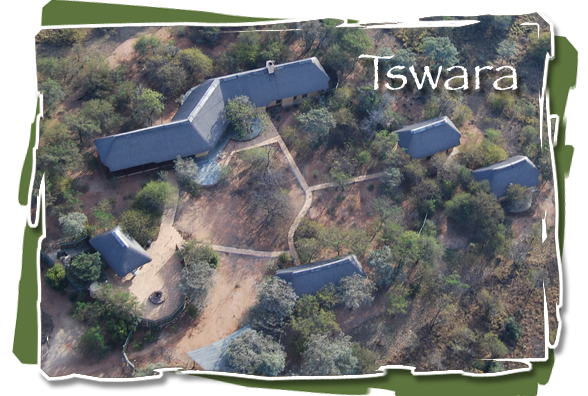 Tswara